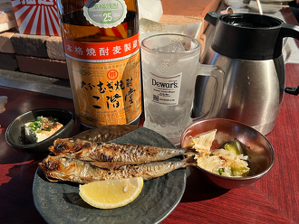 YASAI流ソロ飲みのすゝめ【導入編】のサムネイル